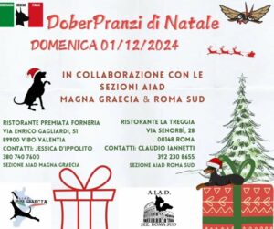 Doberpranzi di Natale - Vibo Valentia e Roma