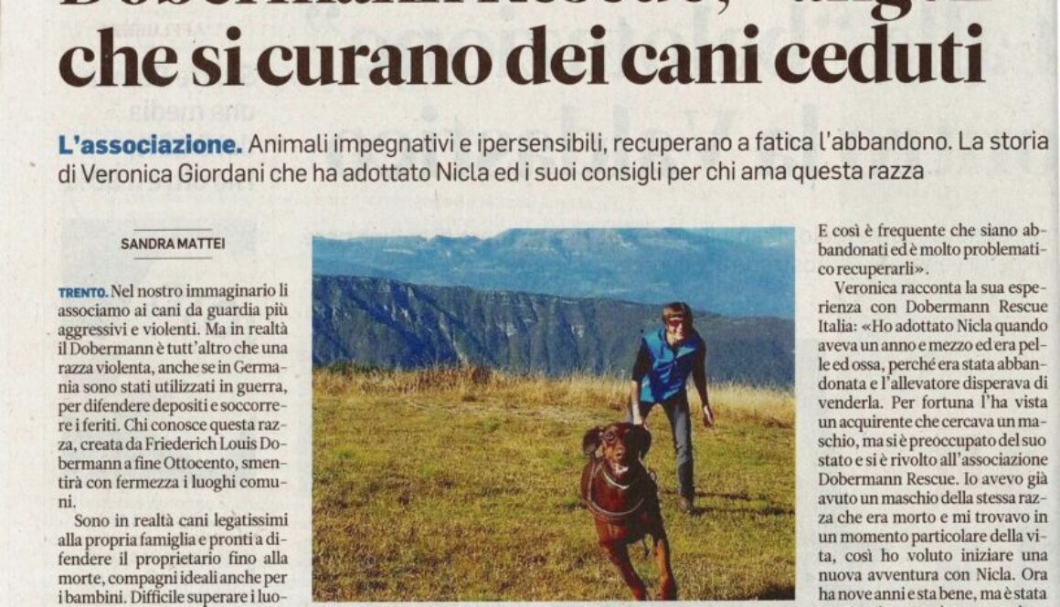 Dobermann Rescue: angeli che si curano dei cani ceduti