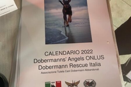 Dobermanns' Angels - Gadget: calendario