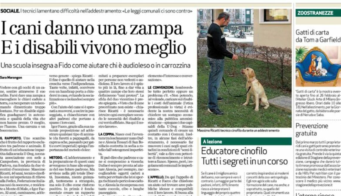 Dobermanns' Angels - Dicono di noi: Il Giornale di Vicenza 24/02/2010