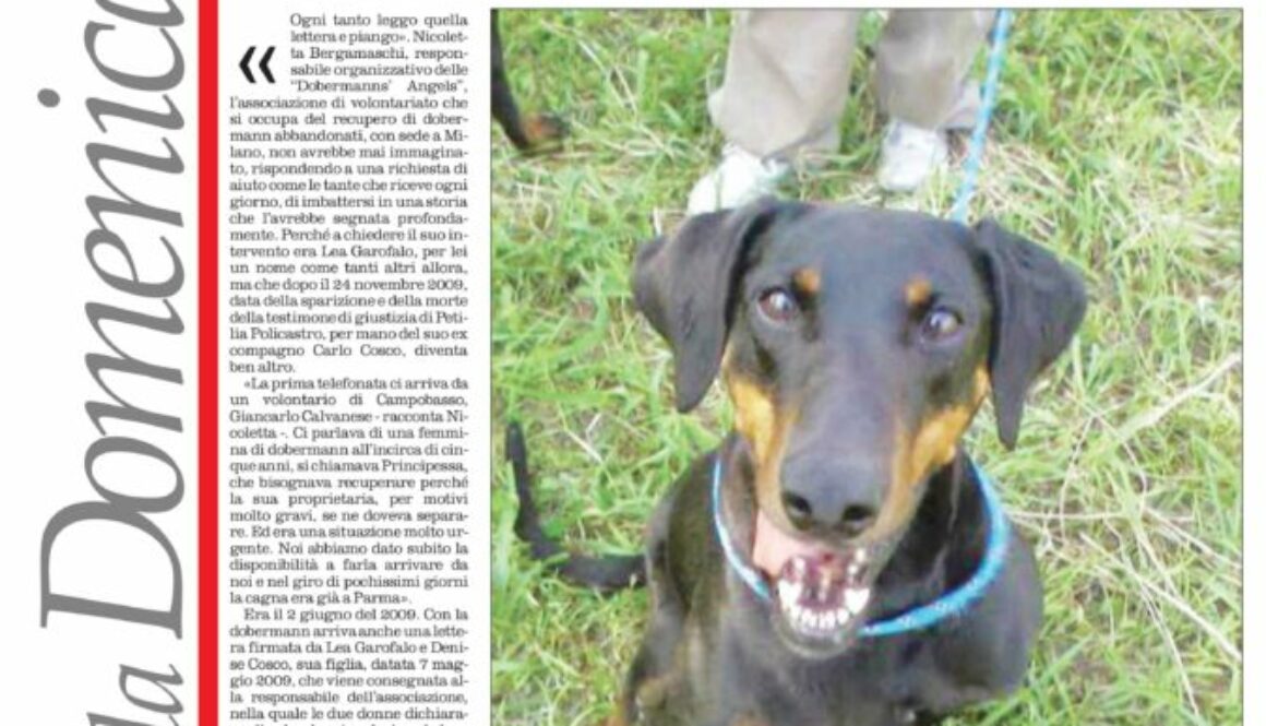 Dobermanns' Angels - Dicono di noi: Lea Garofalo e Principessa 1