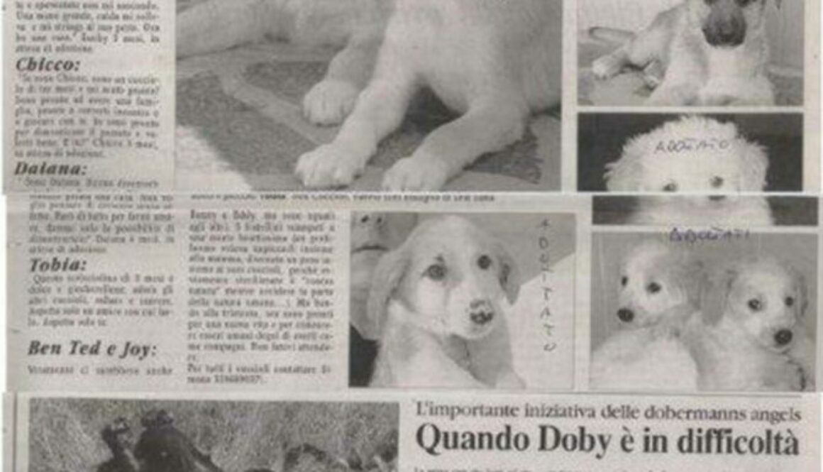 Dobermanns' Angels - Dicono di noi: Quando doby è in difficoltà