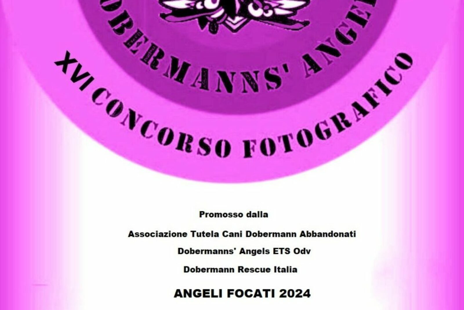 VINCITORI XVI CONCORSO FOTOGRAFICO “ANGELI FOCATI 2024”