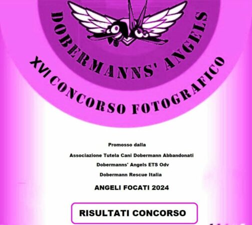 VINCITORI XVI CONCORSO FOTOGRAFICO “ANGELI FOCATI 2024”