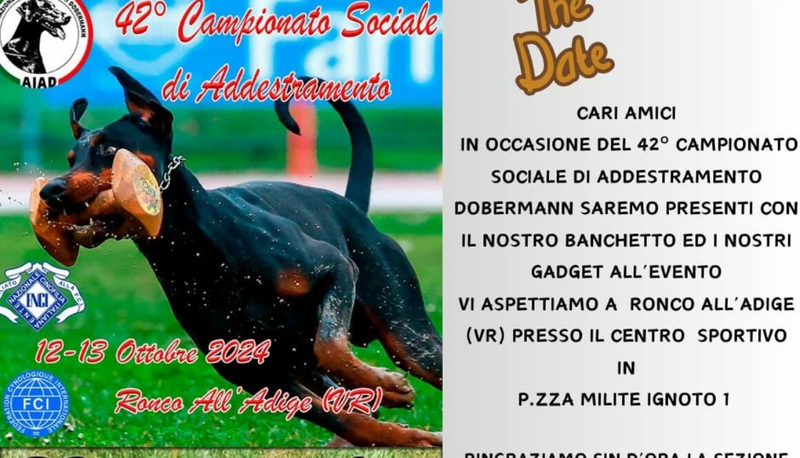 campionato sociale