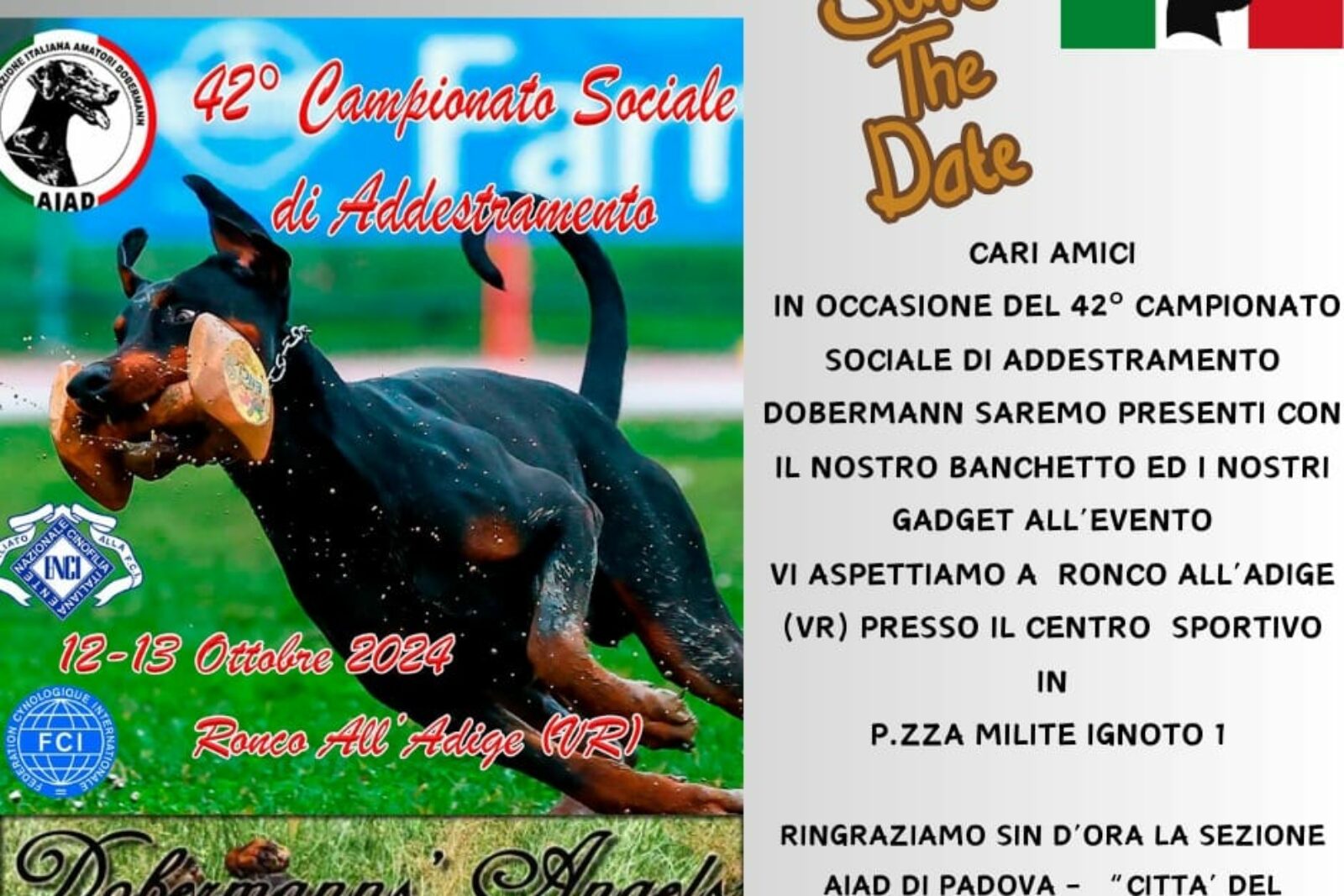 12-13/10/2024 – Campionato Sociale di Addestramento Dobermann