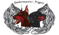 Dobermanns' Angels - Logo 1