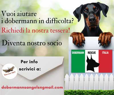 Dobermanns' Angels - Richiedi la nostra tessera